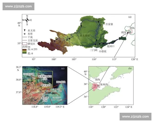从数据分析到实战应用深入解读vs皮尔森相关系数方法原理与场景